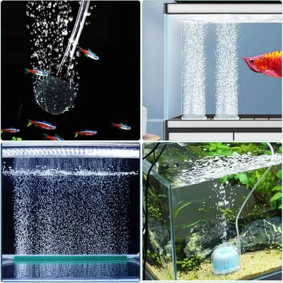Pawzy Pompe d'aération pour aquarium Double trou
