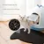 FurryFusion Tapis de litière pour chat double couche