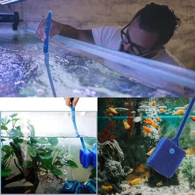 Zoomtopia Éponge de nettoyage pour aquarium