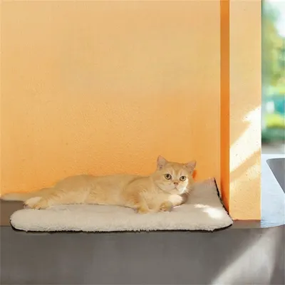 IntiMeg Tapis de chauffage pour animaux en hiver