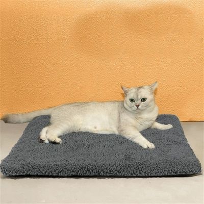 IntiMeg Alfombrilla calefactora para mascotas en invierno