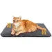 IntiMeg Tapis de chauffage pour animaux en hiver