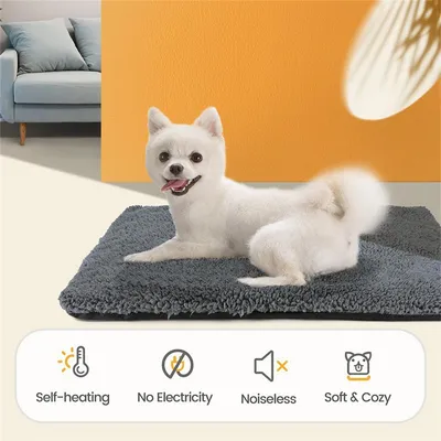 IntiMeg Tapis de chauffage pour animaux en hiver