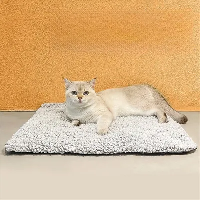 IntiMeg Tapis de chauffage pour animaux en hiver
