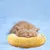 Zoomtopia Coussin en peluche pour chat et chiot