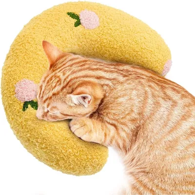 Zoomtopia Coussin en peluche pour chat et chiot