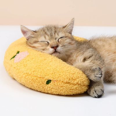 Zoomtopia Coussin en peluche pour chat et chiot