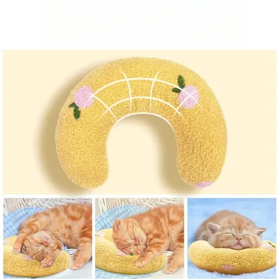 Zoomtopia Coussin en peluche pour chat et chiot