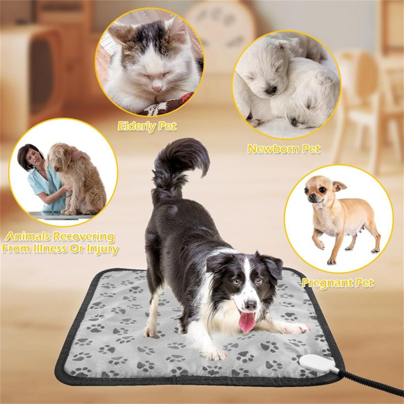 IntiMeg Couverture électrique pour animaux