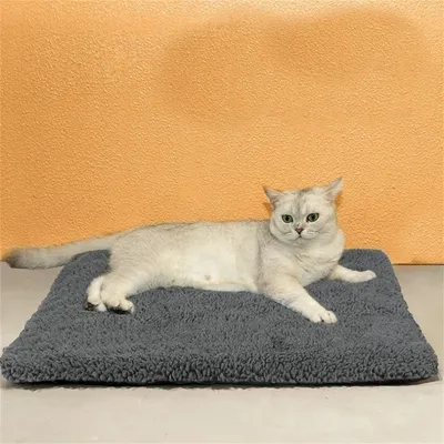 IntiMeg Alfombrilla calefactora para mascotas en invierno