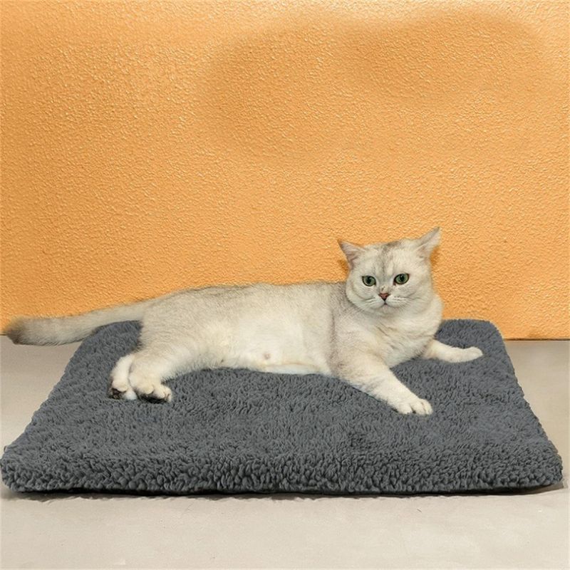 IntiMeg Tapis de chauffage pour animaux en hiver