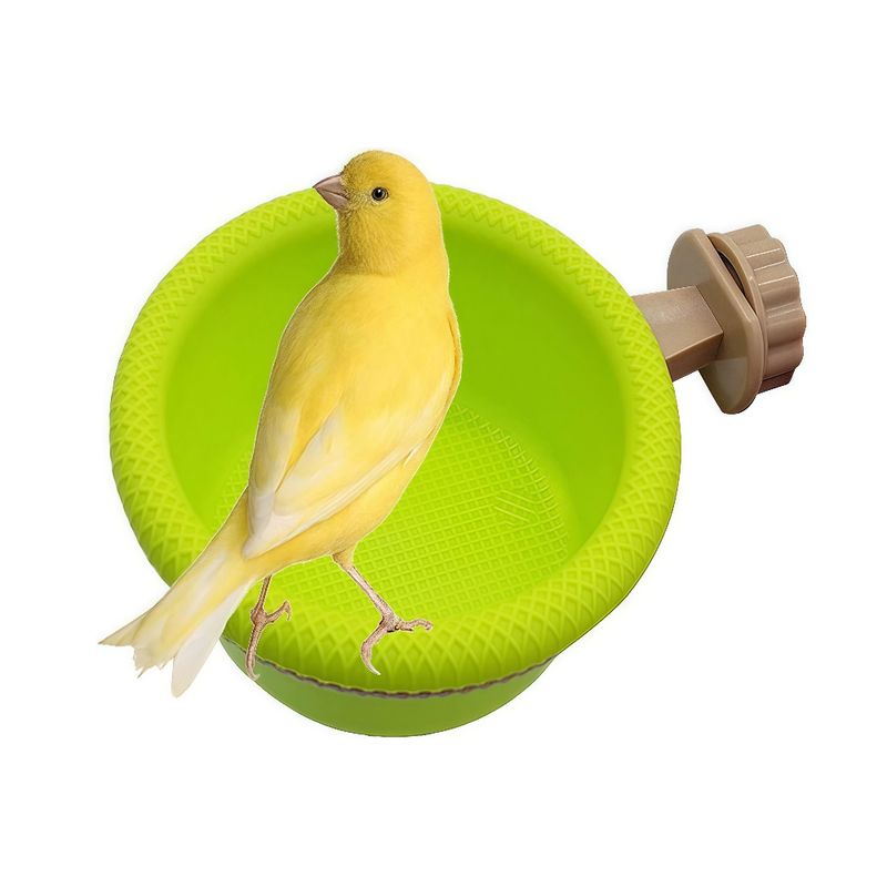 Zoomtopia Baignoire multifonction pour oiseaux