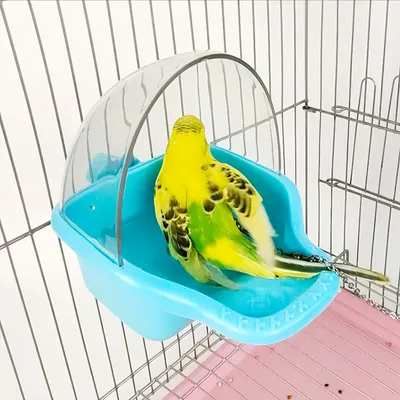 Zoomtopia Baignoire pour oiseaux avec raccord