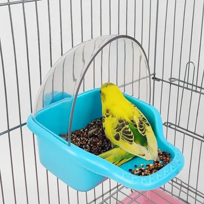 Zoomtopia Baignoire pour oiseaux avec raccord