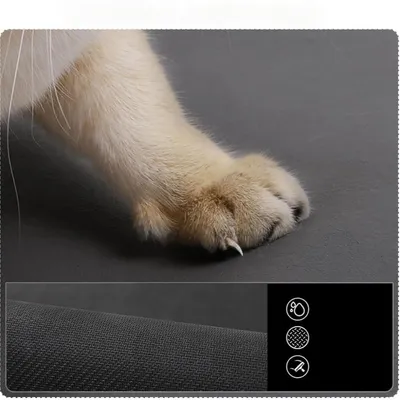 Zoomtopia Tapis d'alimentation pour animaux de compagnie
