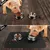 Zoomtopia Tapis d'alimentation pour animaux de compagnie