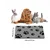 Zoomtopia Tapis de gamelle absorbant pour chat