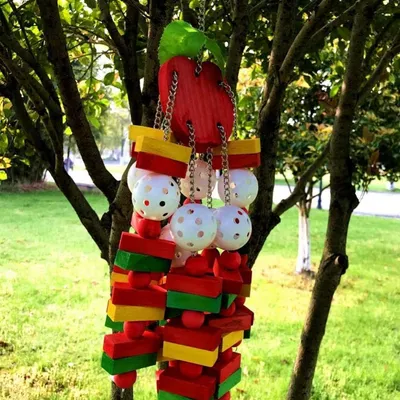 Zoomtopia Jouet à mâcher pour oiseaux