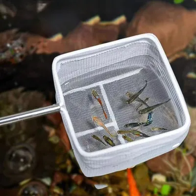 Zoomtopia Épuisette à poisson pour aquarium