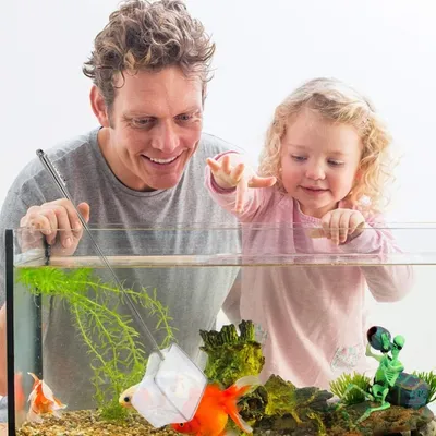 Zoomtopia Épuisette à poisson pour aquarium