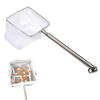 Zoomtopia Épuisette à poisson pour aquarium