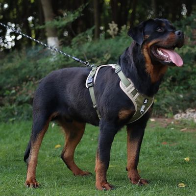 Pawzy Harnais anti - traction pour chien