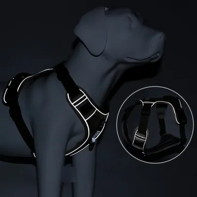 Pawzy Harnais anti - traction pour chien