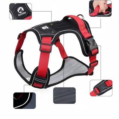 Pawzy Ensemble harnais et laisse pour chat et chien