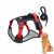 Pawzy Ensemble harnais et laisse pour chat et chien