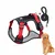 Pawzy Ensemble harnais et laisse pour chat et chien Pawzy Ensemble harnais et laisse pour chat et chien