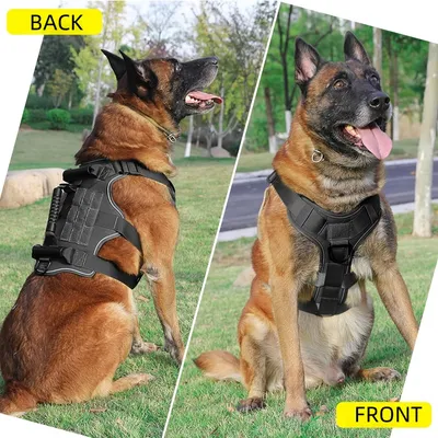 Zoomtopia Harnais anti traction pour chien