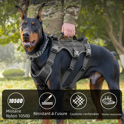 Zoomtopia Harnais anti traction pour chien