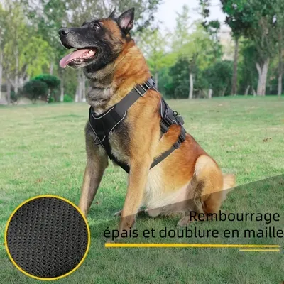 Zoomtopia Harnais anti traction pour chien
