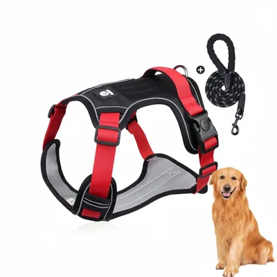 Pawzy Ensemble harnais et laisse pour chat et chien Pawzy Ensemble harnais et laisse pour chat et chien