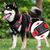 Pawzy Ensemble harnais et laisse pour chat et chien