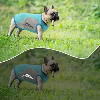 Zoomtopia Kühlweste für Hunde Zoomtopia Kühlweste für Hunde