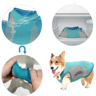 Zoomtopia Kühlweste für Hunde Zoomtopia Kühlweste für Hunde
