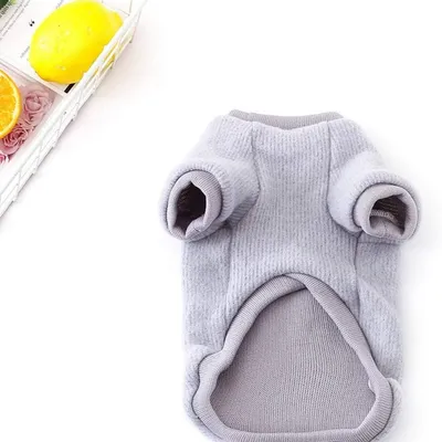 Pawzy  Pullover pour chien Gris