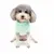 Pawzy Veste pull pour chien et chat