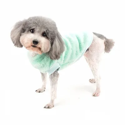 Pawzy Veste pull pour chien et chat