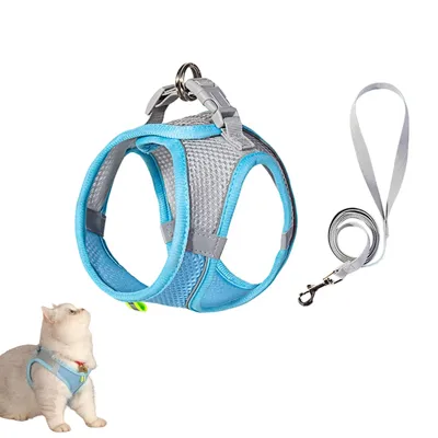 Zoomtopia Harnais et laisse pour chat