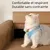 Zoomtopia Harnais et laisse pour chat Zoomtopia Harnais et laisse pour chat