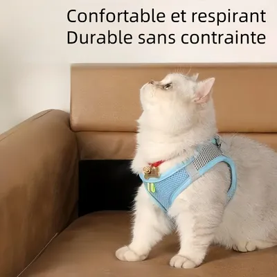 Zoomtopia Harnais et laisse pour chat Zoomtopia Harnais et laisse pour chat