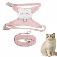 Pawzy Ensemble harnais et laisse pour chat