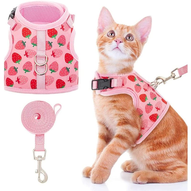 Zoomtopia Harnais pour chat et petit chien