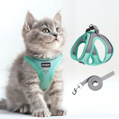 Zoomtopia Harnais pour chien et chat