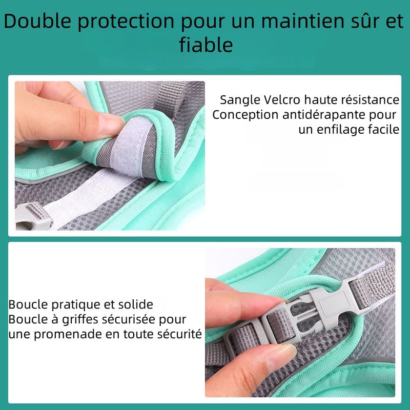 Zoomtopia Harnais pour chien et chat