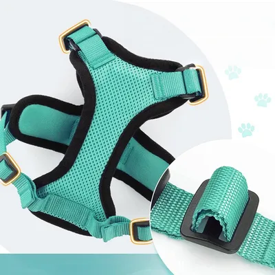 Zoomtopia Harnais pour chat Vert émeraude Zoomtopia Harnais pour chat Vert émeraude