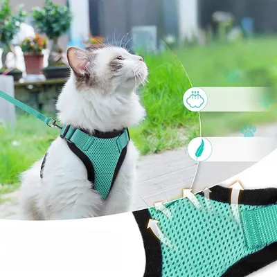Zoomtopia Harnais pour chat Vert émeraude Zoomtopia Harnais pour chat Vert émeraude