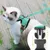 Zoomtopia Harnais pour chat Vert émeraude Zoomtopia Harnais pour chat Vert émeraude